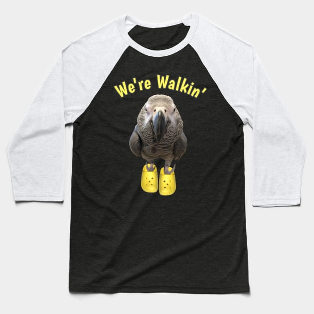 African Grey Parrot Walking Exercise Baseball T-Shirt by Einstein Parrot